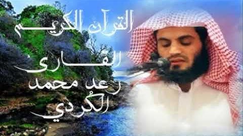 سورة عبس رعد محمد الكُردي حفظه الله