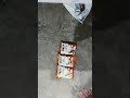 Garam Masala from Zoff Unboxing: Elevate Your Dishes with the Perfect Blend of Spices