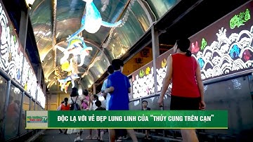 Độc lạ với vẻ đẹp lung linh của “Thủy cung trên cạn”