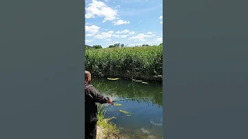 Секрет успешной рыбалки!