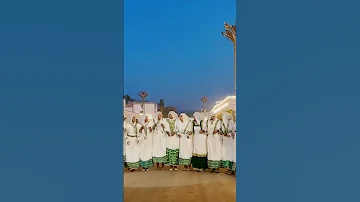 Jimmaa Oromotiktok Habesha Oromoculture Neworomomusic Oromomusic 