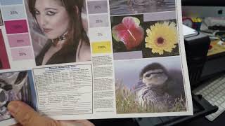 Converting A Second Hand Epson Ecotack To Sublimation Printer