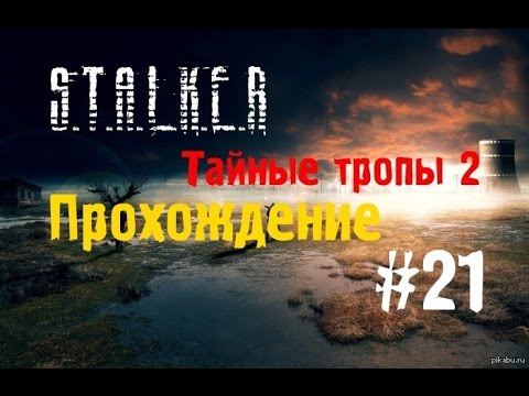 Тайные тропы 2 как найти пда для борова Тайные тропы 2 как найти пда для борова
