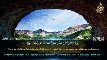 الآية التي أبكت النبي عليه الصلاة و السلام - القارئ تامر الشاذلى