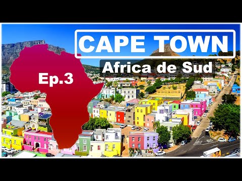 Video: Excursie în Africa de Sud