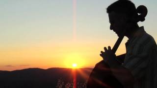 Life Is the Quest for Joy HD