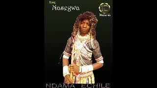 NDAMA ECHILE   NASEGWA ( Audio ) by Lwenge Studio