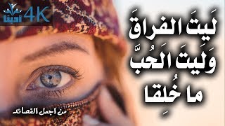 أبيات قصيدة من الزمن الجميل - لَيتَ الفِراقَ وَلَيتَ الحُبَّ ما خُلِقا