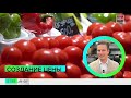 Цены на продукты проследят от производителя до магазина: где ищут завышение — Москва 24