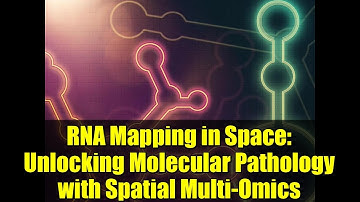 RNA Mapping in Space: Unlocking Molecular Pathology with Spatial Multi-Omics