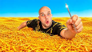 IŠČEM IGLO V SENU 🪡 Search For The Needle #1