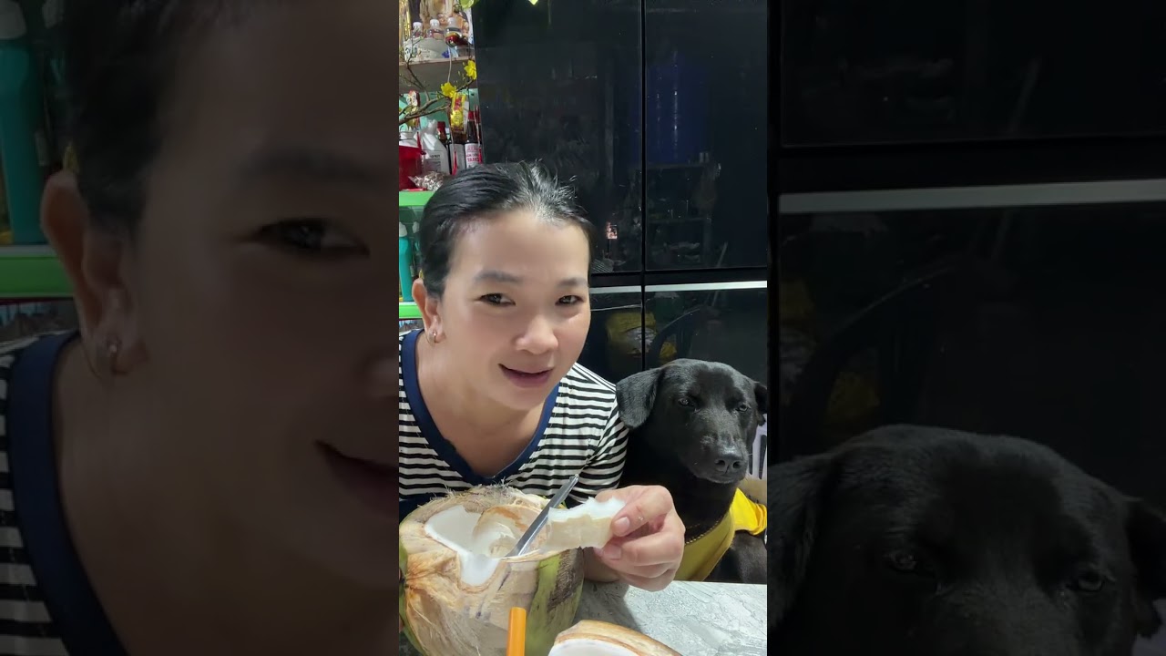 Dạ em mời cô chú ăn dừa châm đường với em ạ