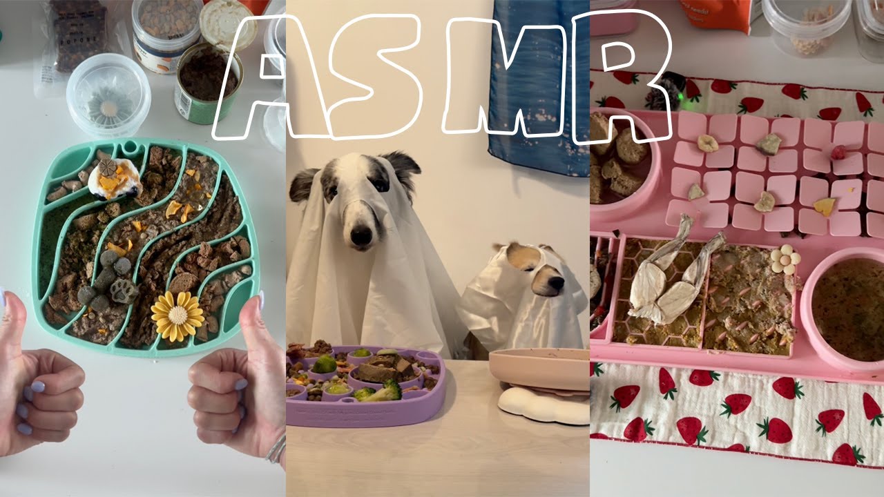 속이 시끄러울 땐 더빙이 없는 ASMR을 들어보세요 ㅣ달루카밥상 슬로우식기 에셈알 모음집