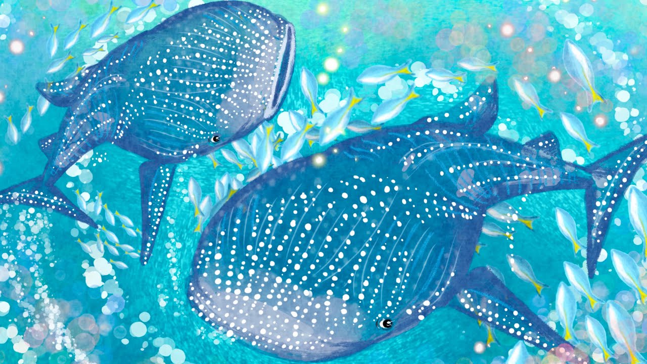 ジンベイザメと海の生き物達イラスト描き方 Youtube