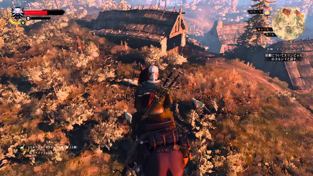 The Witcher3 愉しいバグ 空を駆けるローチ ウィッチャー3ワイルドハント Youtube