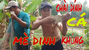 Một ngày cả nhóm đi chài lưới bắt cá, mưa gió và dính được cá mè dinh khủng