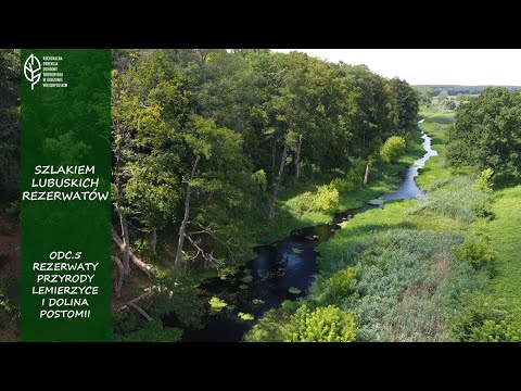 Wideo: Jak możesz pomóc chronić zagrożone żaby