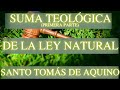 Santo Tomás de Aquino - Suma Teológica (Prima secundae, cuestión 94: De la Ley Natural)