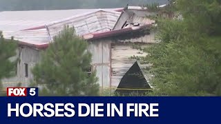 26 horses killed in barn fire | FOX 5 News