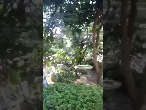 Video: Mengambil Rumah Di Jalan Untuk Mengikuti Serbuk [VID] - Matador Network