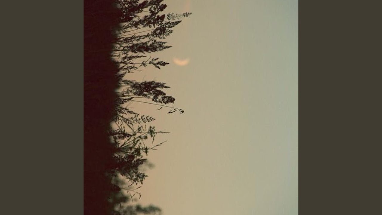 Watch Marsh on YouTube Watch Marsh on YouTube