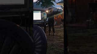 🛑Unity Bridge Full Presentation in the dark. Will do better next time 🙏 Update