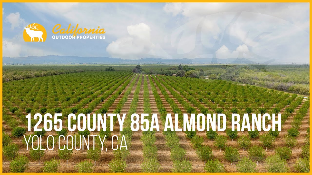 240± acre Almond Ranch For Sale | 1265 County Rd 85A Almond Ranch - YouTube