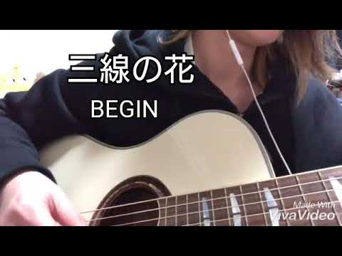三線の花 / BEGIN (cover)