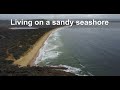 Living conditions at the sandy seashore