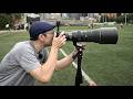 Gimbal VS Monopod VS Tripod - What's Best?