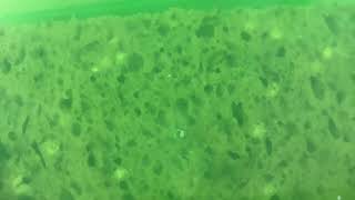 @CobraandAdrian @AllowW%