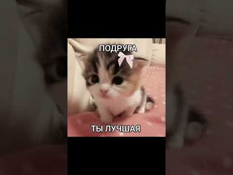 Заходите на мой