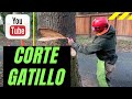 Corte gatillo