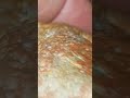 Rare Stony Meteorite