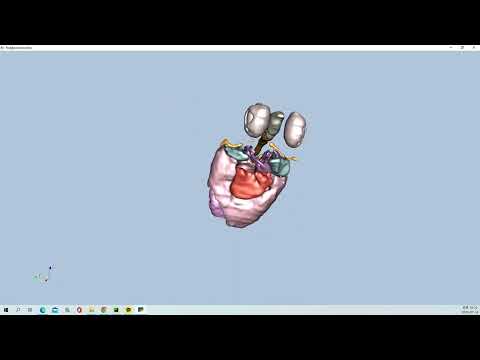 VTK Python Example - FrogReconstruction, Fig12-9c