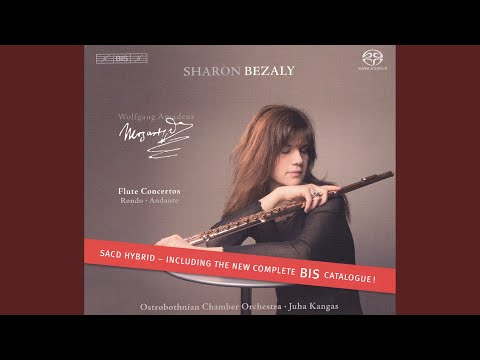 Flute Concerto No. 1 in G Major, K. 313: I. Allegro maestoso