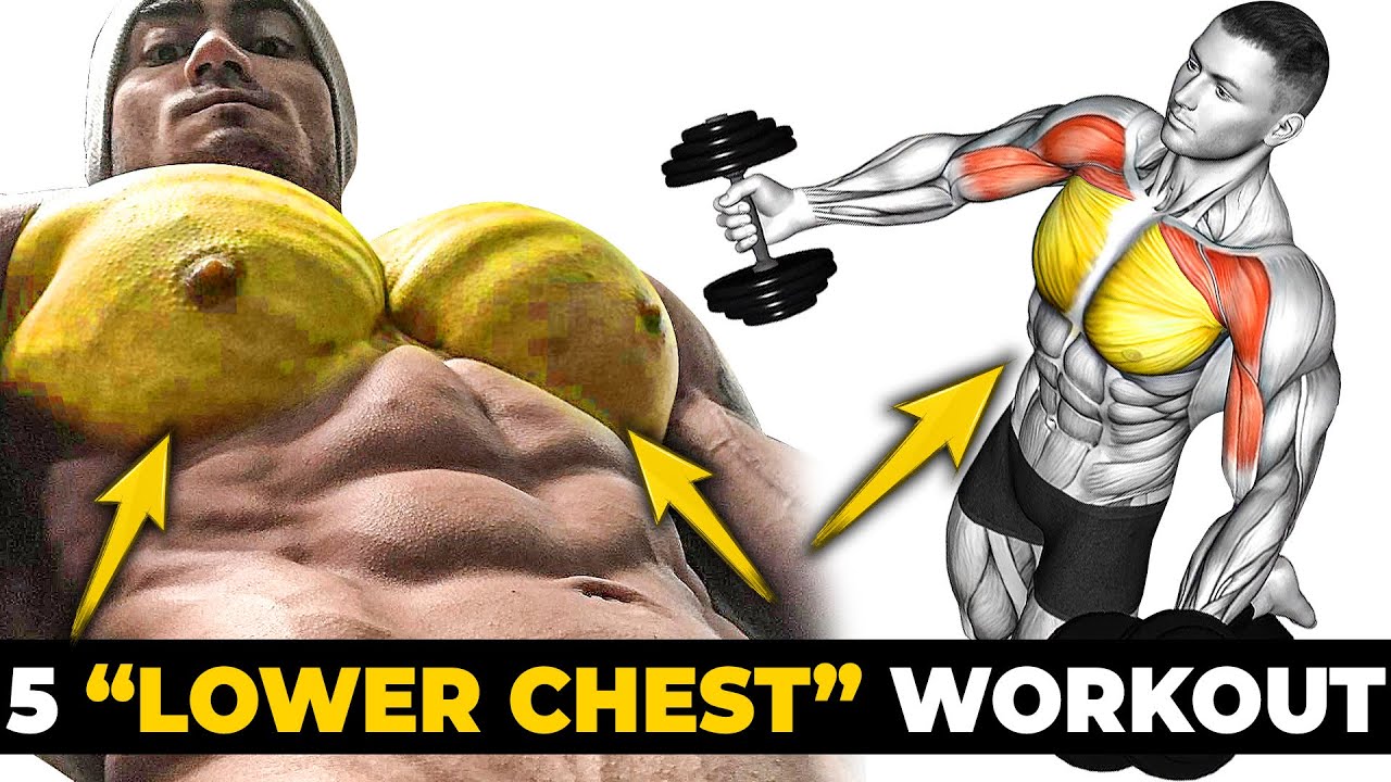 5 BEST EXERCISE LOWER CHEST WORKOUT 