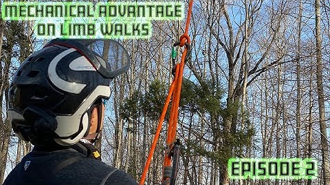 M.A. Limb walk Ep.2