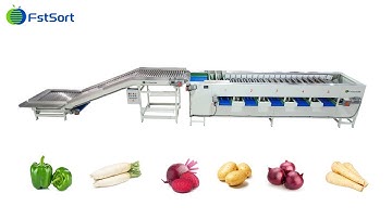 Green pepper classifier grader vegetable processing equipment adjustable roller sorting machine