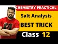 Class 12 Chemistry Practicals || Best Trick for Salt Analysis 01 || Analysis of Acidic Radicals ||