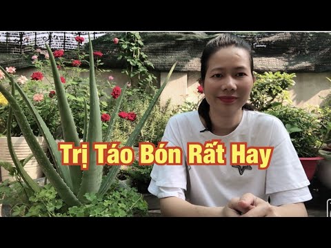 Video: Cách sử dụng nha đam để điều trị táo bón