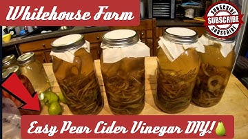 How To Make Easy Homemade Pear Cider Vinegar DIY!🍐