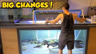 Changes to 4,000 Gallon Monster Fish Room