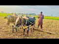 100 Year Old agriculture technology Our Village / BycMozzam Saleem