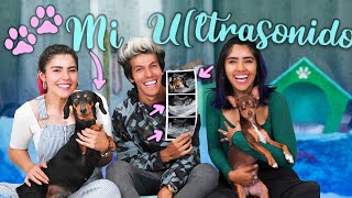 SI ESTOY EMBARAZADA, MI NUEVA HABITACIÓN | POLINESIOS VLOGS