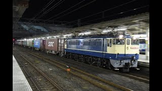 【Japan Railway】海上コンテナ輸送 SITC2色連積・錦江航運・FLORENS積載 4072レ EF65 2091牽引