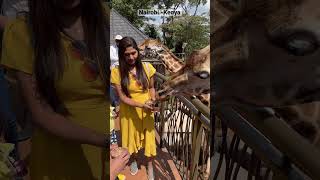 Nairobi Giraffe Center ?| Dubai-Kenya Travel Vlogs| Malayalam blogs RithusTravFood| Giraffe Feeding