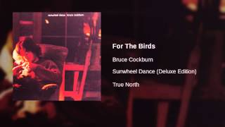 Watch Bruce Cockburn For The Birds video