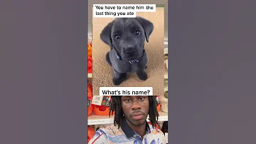 Nobody Say Dog 