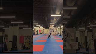 Taekwondo Heavy Pad Work